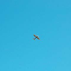 DSC_5101