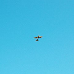 DSC_5104