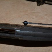 DSC 8151