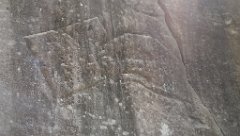 IMAG1811