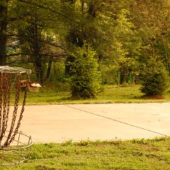 DSC 2019  (C) Andy Moon     (309)258-3530