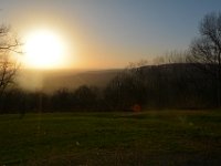 DSC 0358
