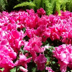 IMG 20180508 130316025