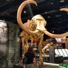 IMG 20180510 131647048 HDR