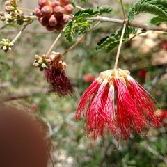 IMG 20180510 141012695