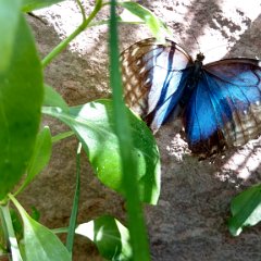 IMG 20180510 142504838 HDR