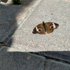 IMG 20180510 142603277 HDR
