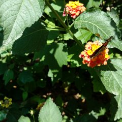 IMG 20180510 142916002