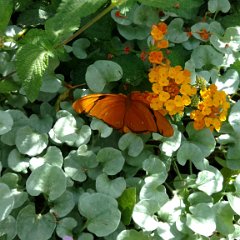IMG 20180510 143047548