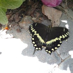 IMG 20180510 143701035