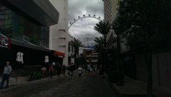 IMAG1054