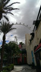 IMAG1060