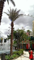 IMAG1061