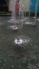 IMAG1082