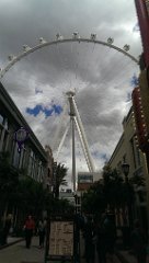 IMAG1085