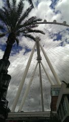 IMAG1095_BURST002