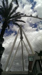 IMAG1096