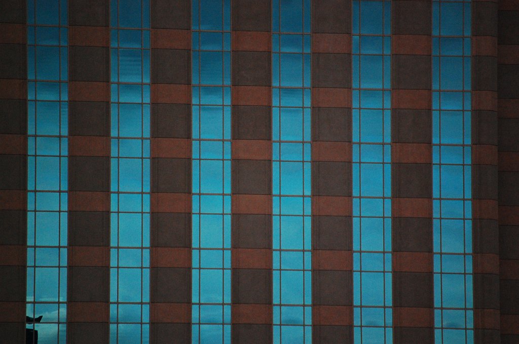 DSC_5195