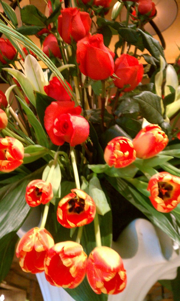 IMAG0734