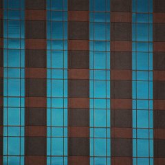 DSC_5195