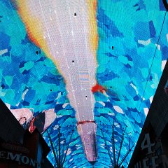 DSC_5280
