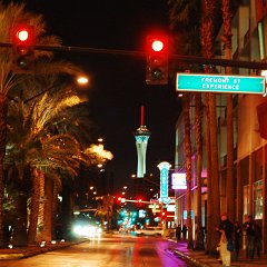 DSC_5321