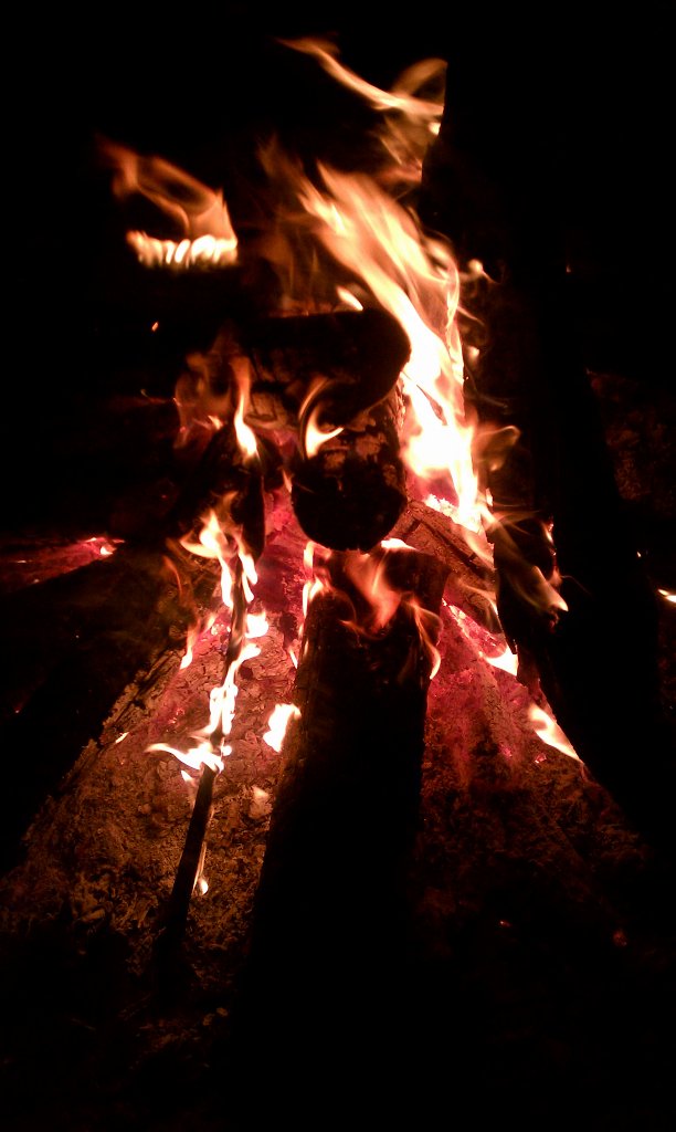 IMAG0173