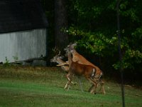 DSC 0059