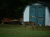 DSC 0069
