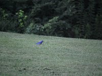 DSC 0152
