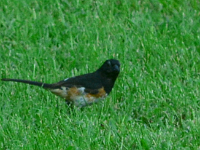 2019-08-01 13 41 15-Photos