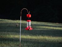 DSC 0049