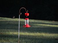DSC 0050