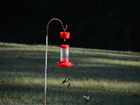 DSC 0051