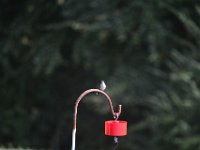 DSC 0074