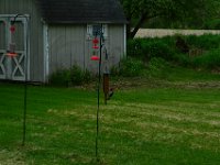 DSC 9883