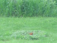DSC03098