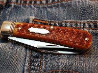 74 Trapper 2012 BF Traditional