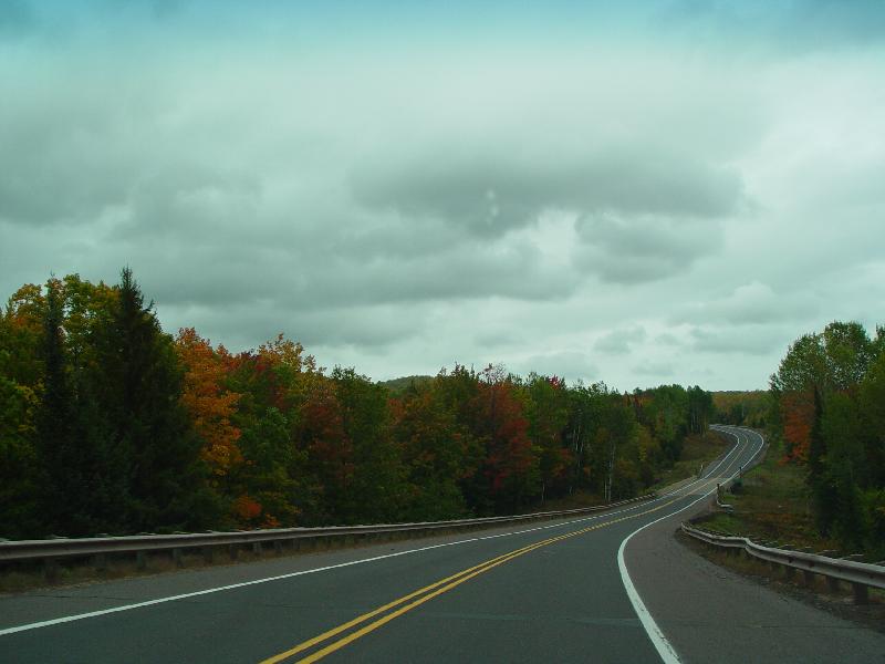 DSC08033 