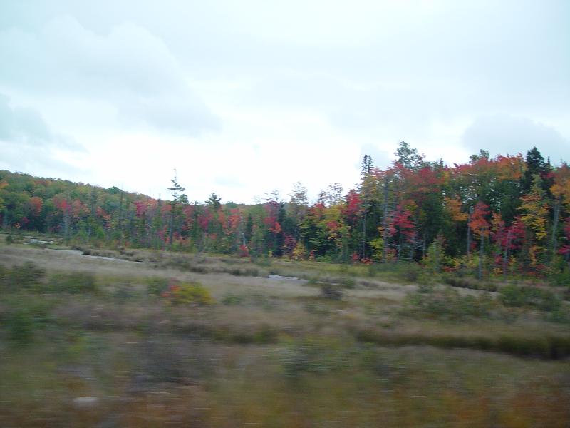 DSC08046 