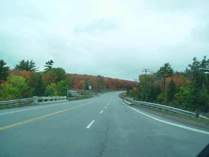 DSC08321 