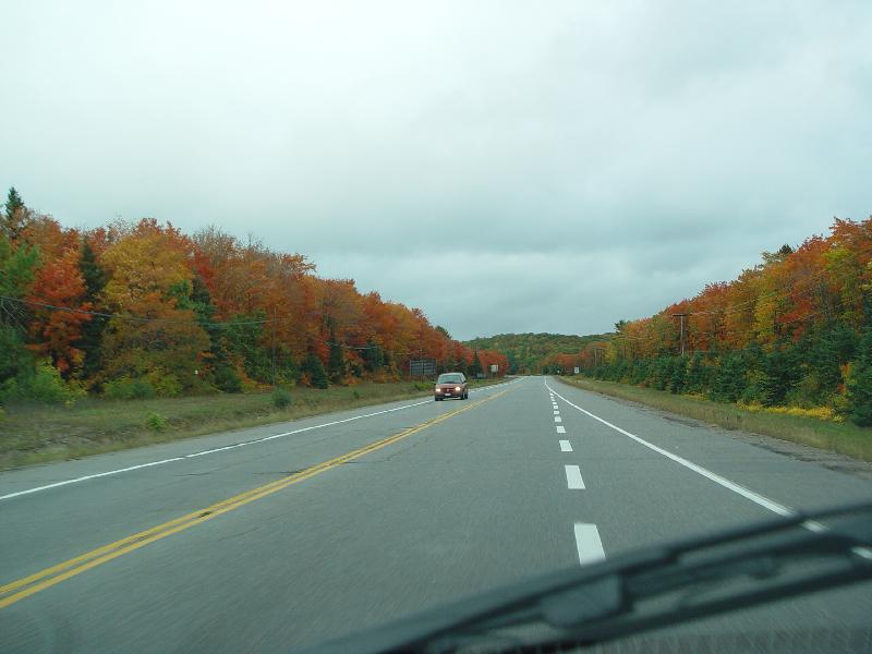 DSC08325 