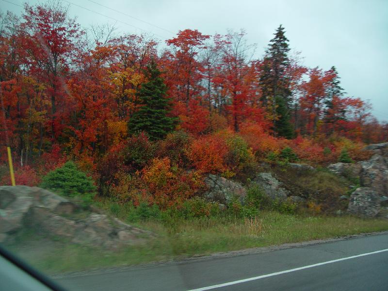 DSC08331 