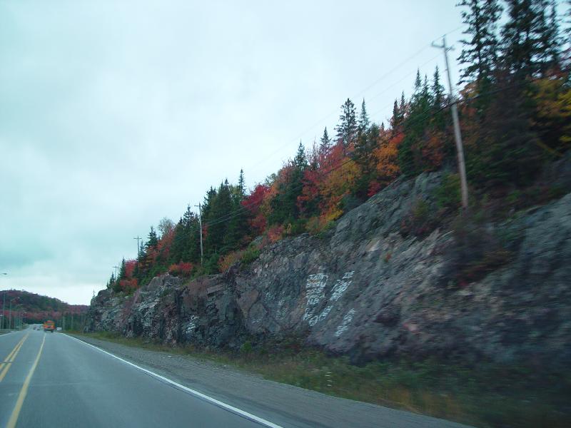 DSC08335 