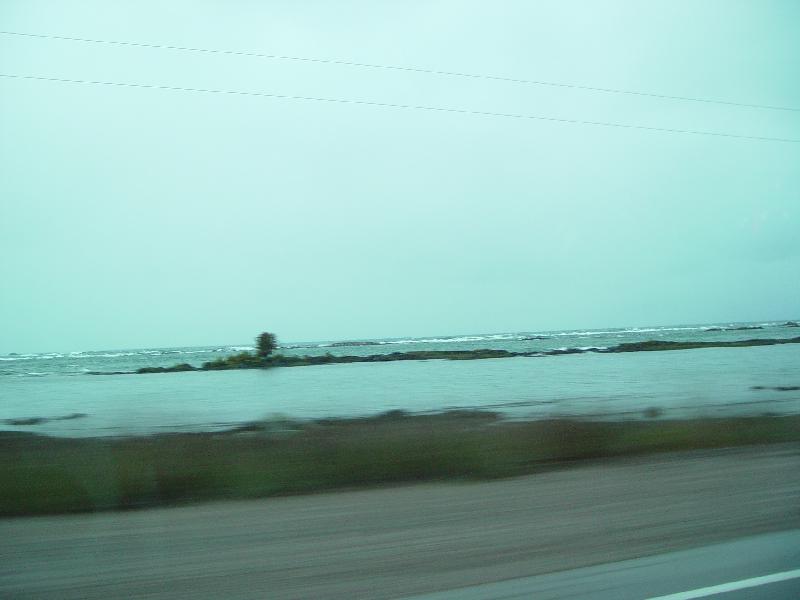 DSC08346 