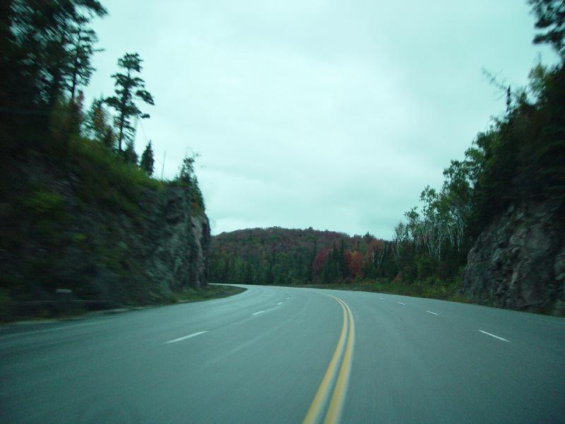 DSC08354 