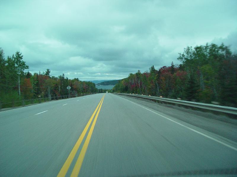 DSC08356 