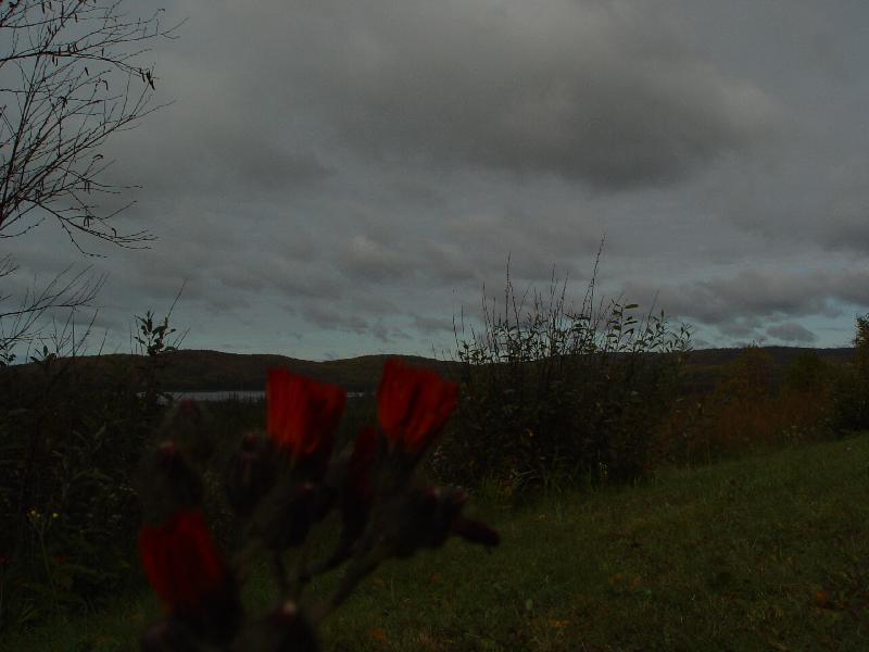 DSC08399 