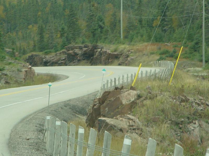DSC08436 