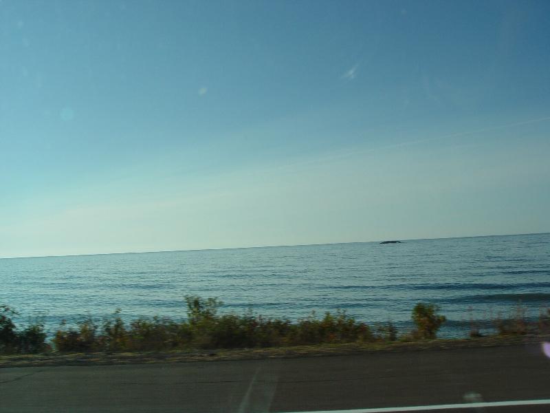 DSC08498 